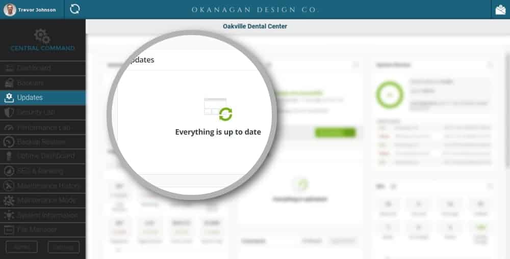 Okanagan Design Co -Website-Management-Performance-Dashboard